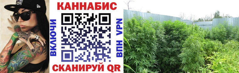 Названия наркотиков Кизел АМФ  A-PVP  Мефедрон  МАРИХУАНА 