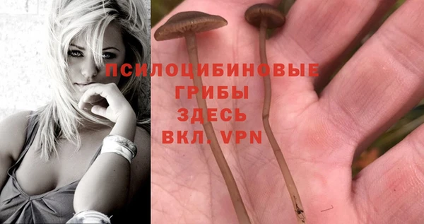 дурь Белая Холуница