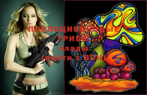 прущий лед Бежецк