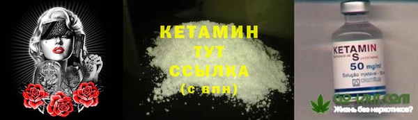 прущий лед Бежецк