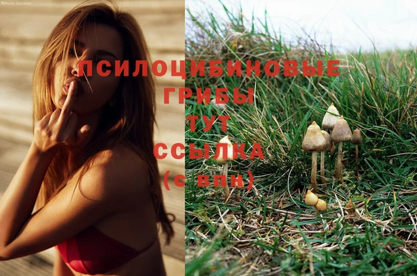 прущий лед Бежецк