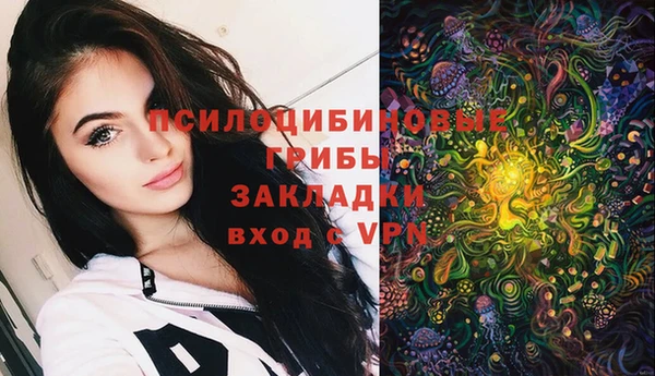 прущий лед Бежецк