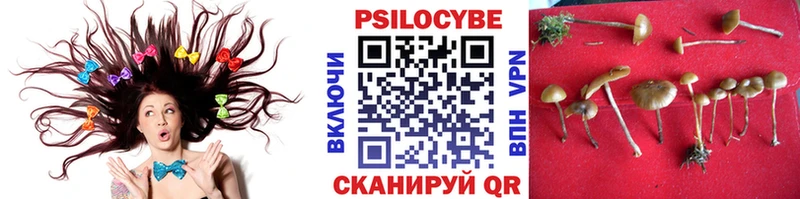 цена наркотик  Кизел  Галлюциногенные грибы мухоморы 