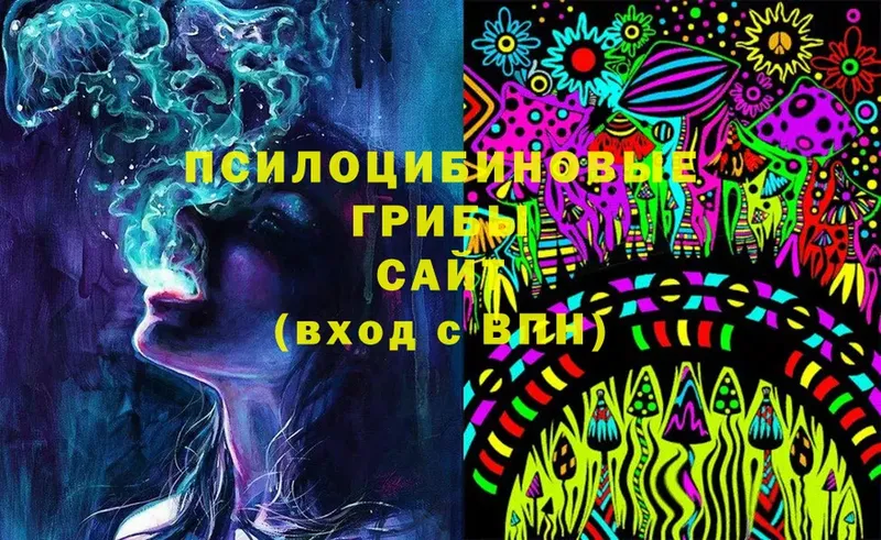 что такое   ссылка на мегу зеркало  Галлюциногенные грибы Cubensis  Кизел 