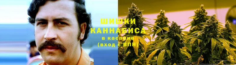 kraken вход  закладки  Кизел  Шишки марихуана OG Kush 